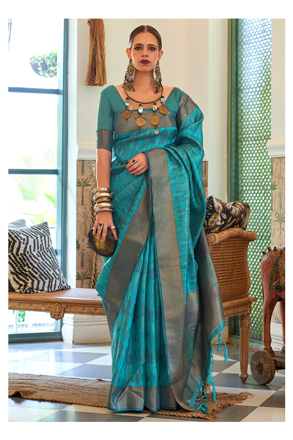 Shop Blue Organza Saree with Golden Embroidered Cut Work Online in USA –  Pure Elegance